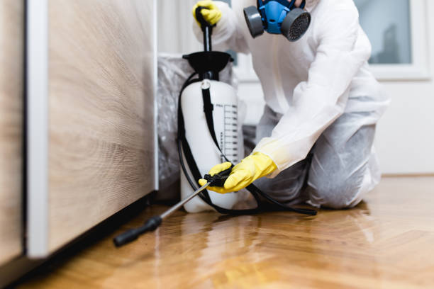 Best Pest Prevention Services  in Liberty Hill, TX