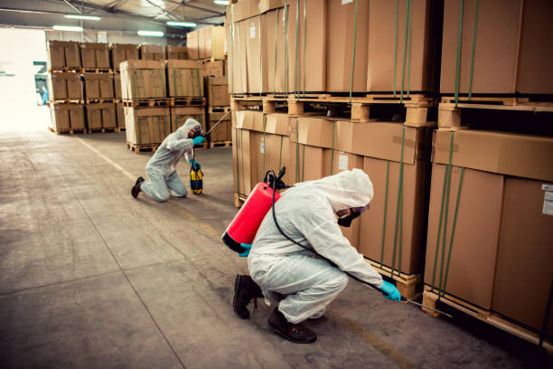 Best Ant Control Services  in Liberty Hill, TX