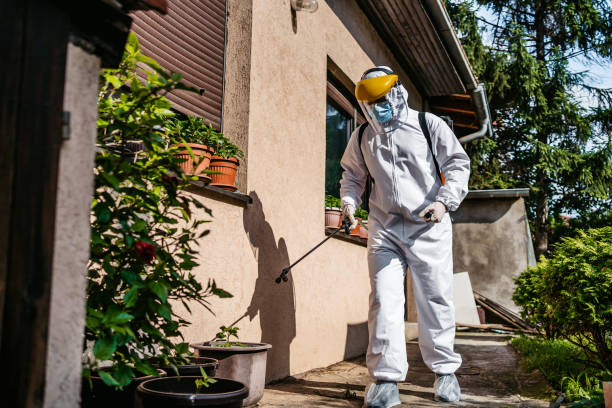 Best Rodent Control Near Me  in Liberty Hill, TX
