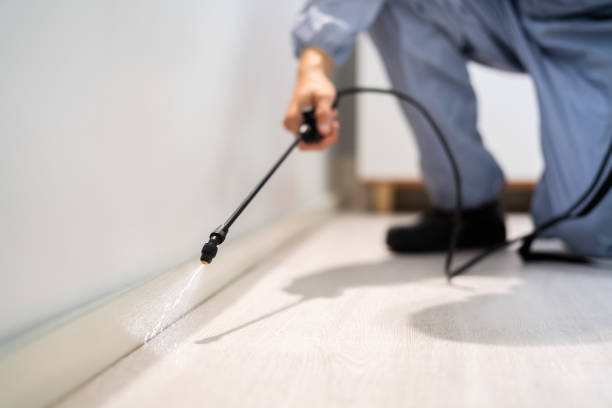 Best Pest Removal Services  in Liberty Hill, TX