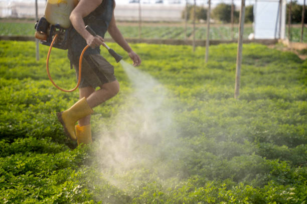 Best Wildlife Control Services  in Liberty Hill, TX