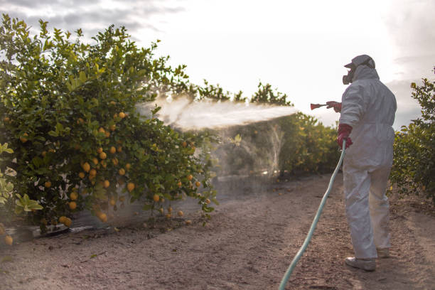 Best Rat Extermination Near Me  in Liberty Hill, TX