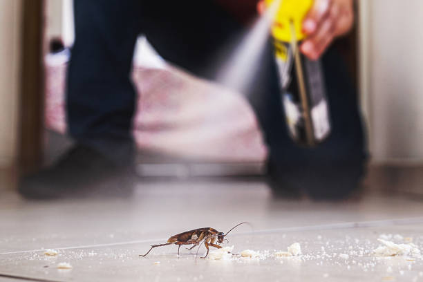 Best Cockroach Control Services  in Liberty Hill, TX