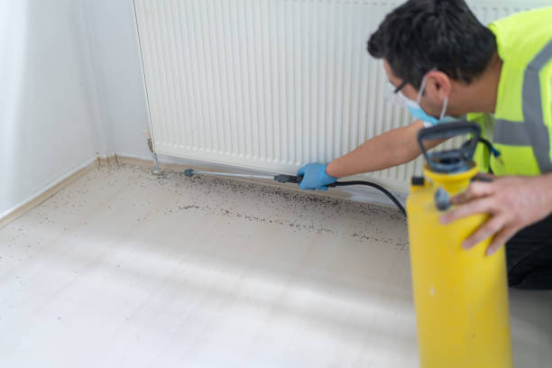 Best Local Pest Control Services  in Liberty Hill, TX