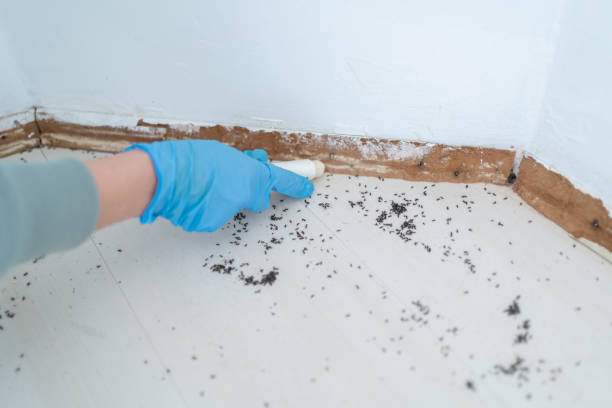Wildlife Control Services in Liberty Hill, TX