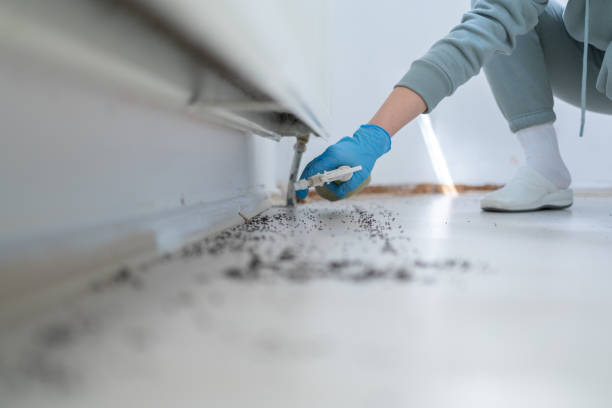 Trusted Liberty Hill, TX Pest Control Experts