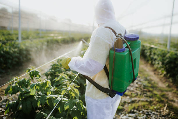 Best Rat Extermination Near Me  in Liberty Hill, TX